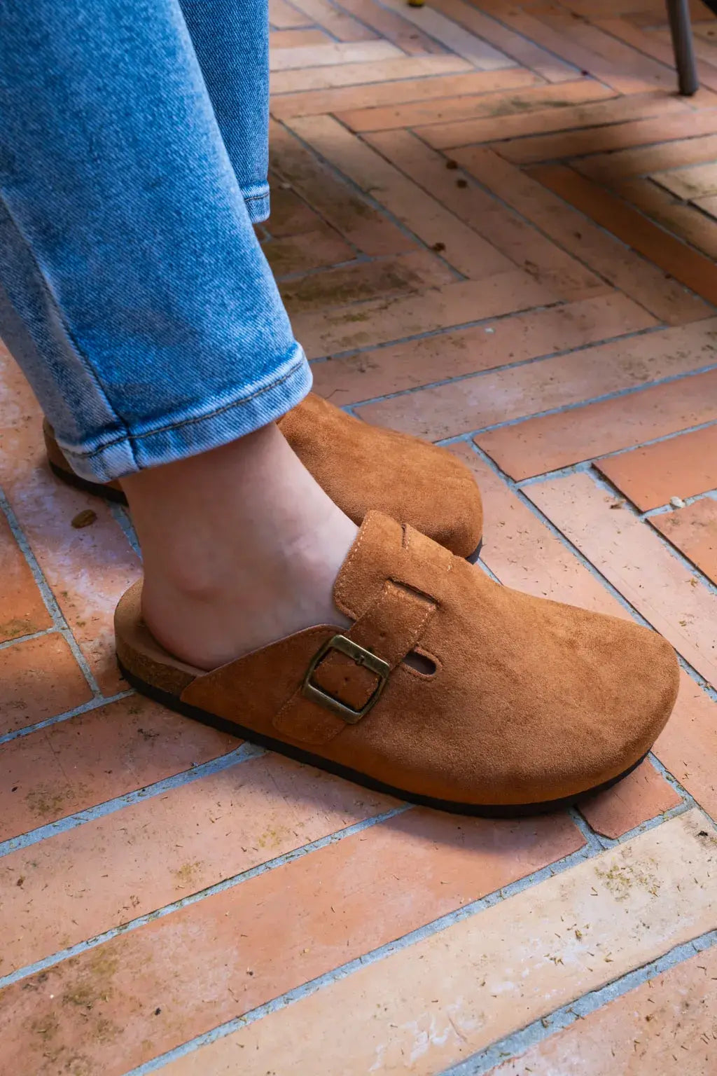 Mules Noa camel
