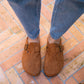 Mules Noa camel