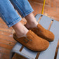 Mules Noa camel