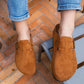 Mules Noa camel