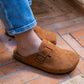 Mules Noa camel